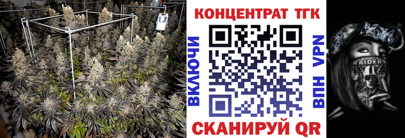 Дистиллят ТГК THC oil  купить наркотик  Питкяранта 