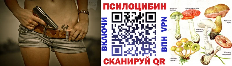 магазин продажи   Питкяранта  Псилоцибиновые грибы GOLDEN TEACHER 