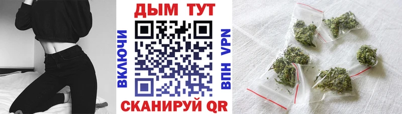 KRAKEN онион  Питкяранта  Шишки марихуана сатива 